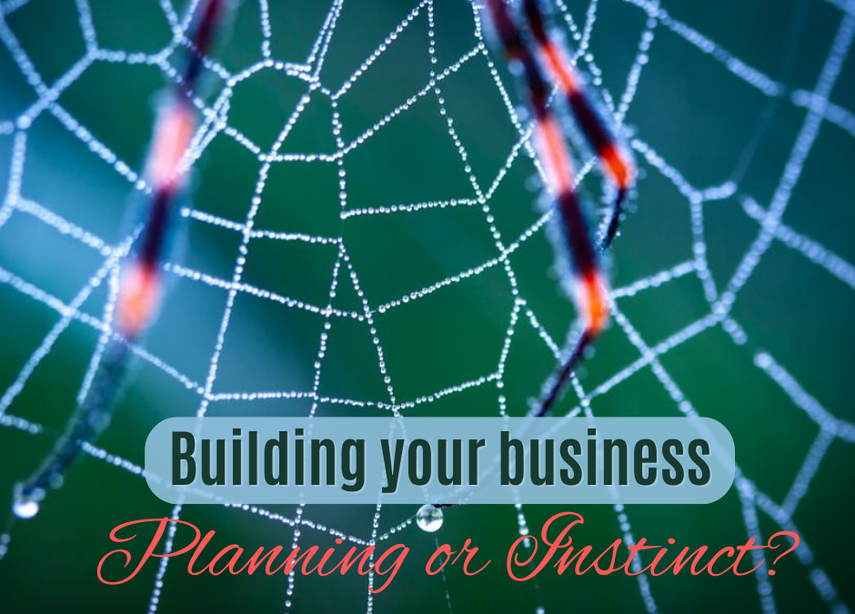 Building your business: Planning of Instinct?