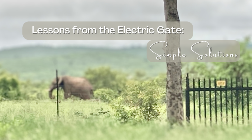 Lessons from the Electric Gate